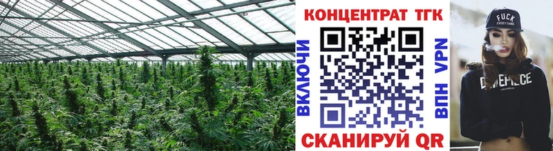 Дистиллят ТГК THC oil  MEGA   Кирсанов 