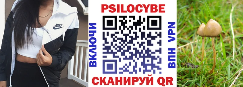 Псилоцибиновые грибы MAGIC MUSHROOMS  ОМГ ОМГ ссылка  нарко площадка телеграм  Кирсанов 